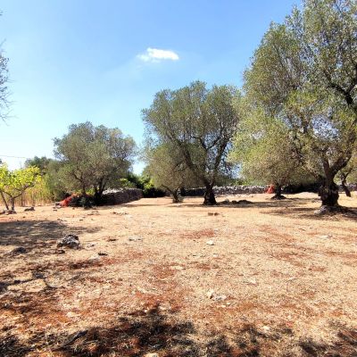 &nbsp;